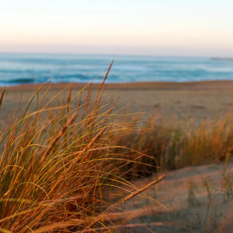 Madrague beach