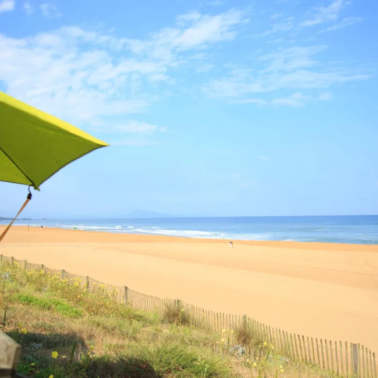Dunes beach