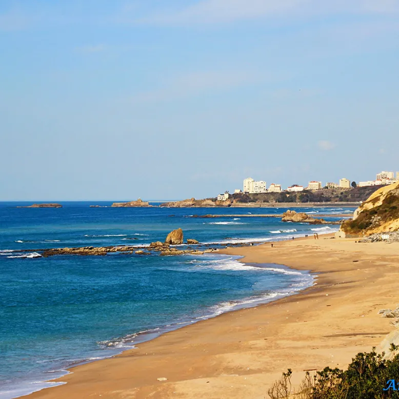 Plage du Pavillon Royal