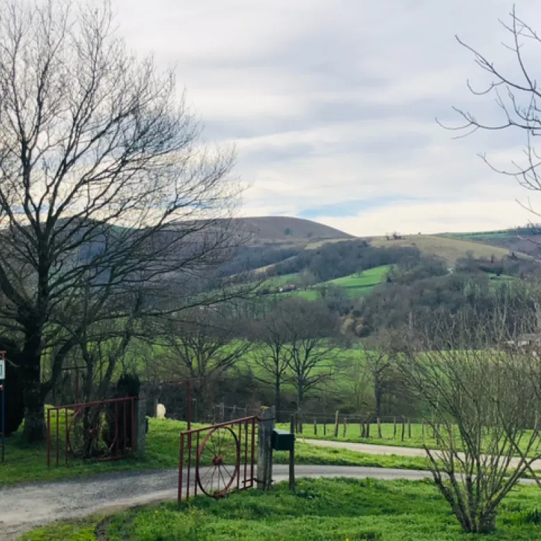 Diriart Farm Campsite