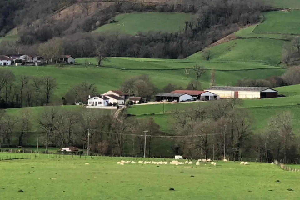 Diriart Farm Campsite