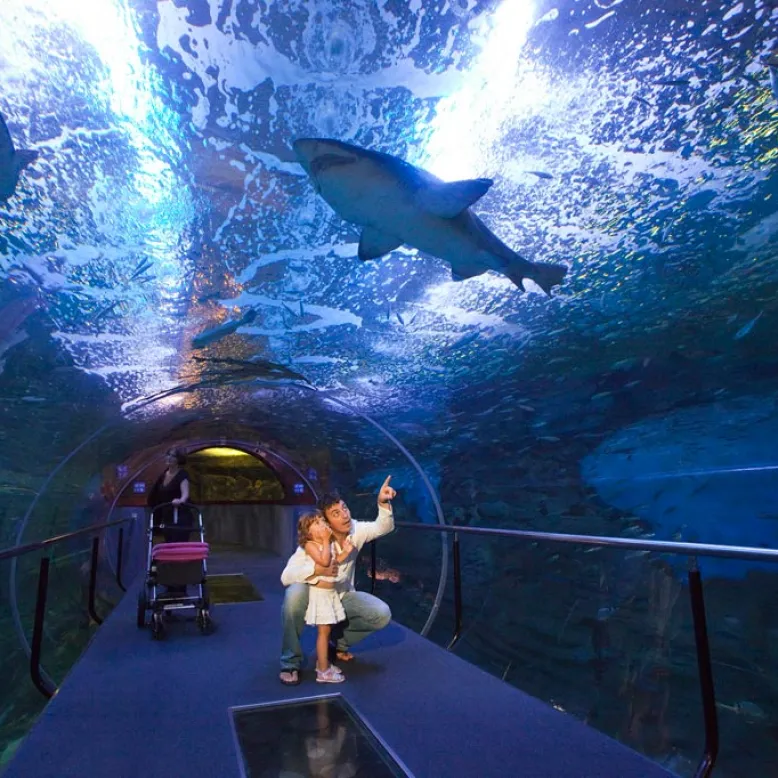 Aquarium Donostia - San Sebastián