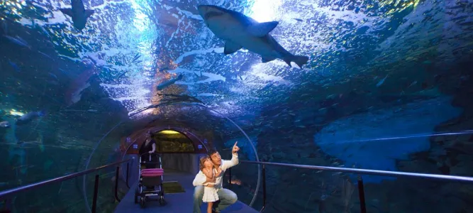 Aquarium Donostia - San Sebastián