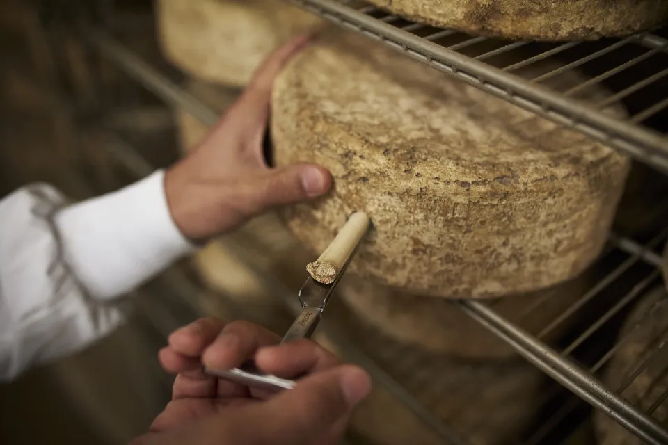 ONETIK, the cheese factory of the Basque Country