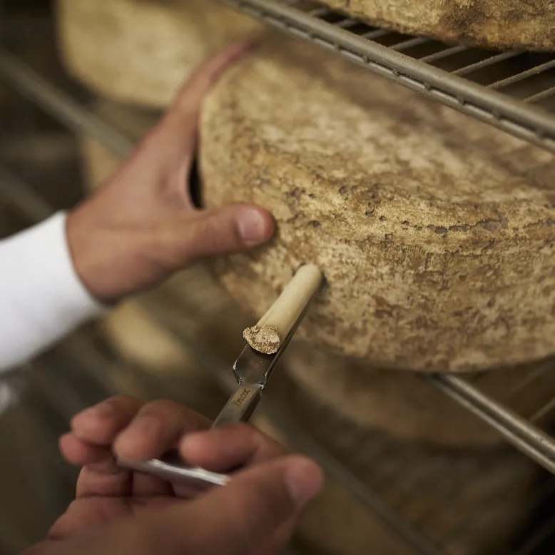 ONETIK, the cheese factory of the Basque Country