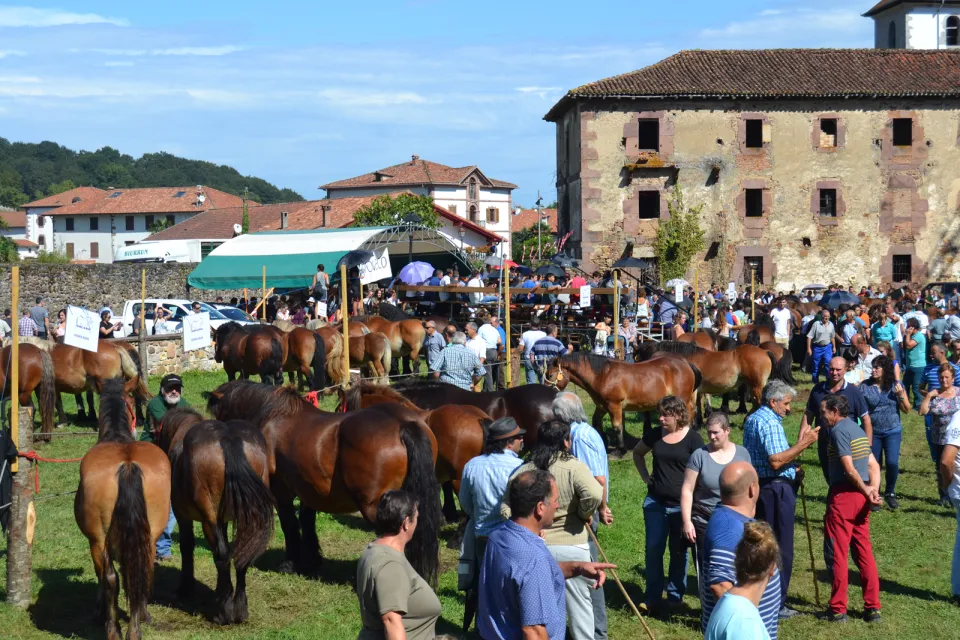 URDAX