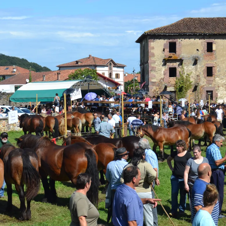 URDAZUBI/URDAX