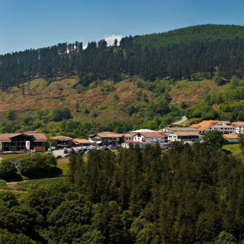 Ibardin