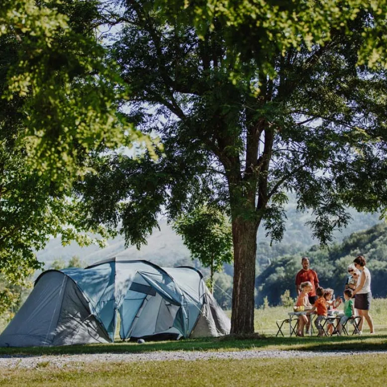 Carrique Farm Campsite
