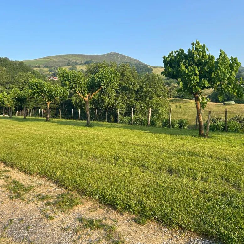 Erreka Farm