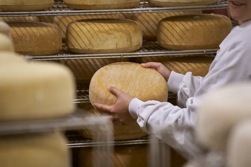 La Fromagerie Artisanale ETXALDIA