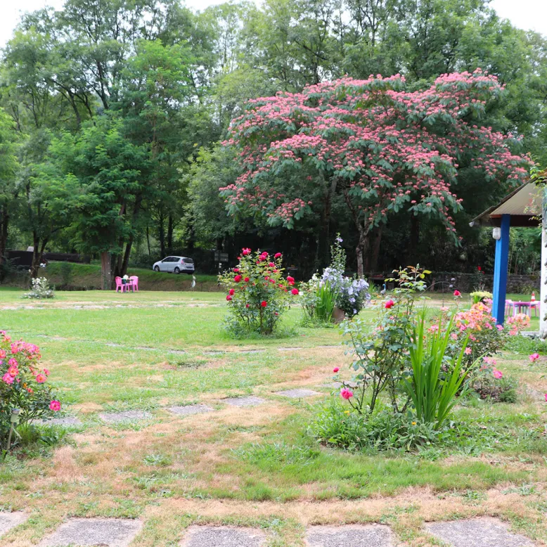 Camping del Puente de Abense
