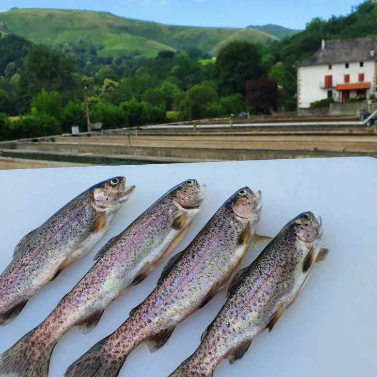 Pisciculture d'Iraty
