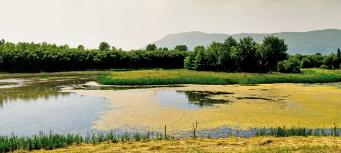 Les marais de Txingudi