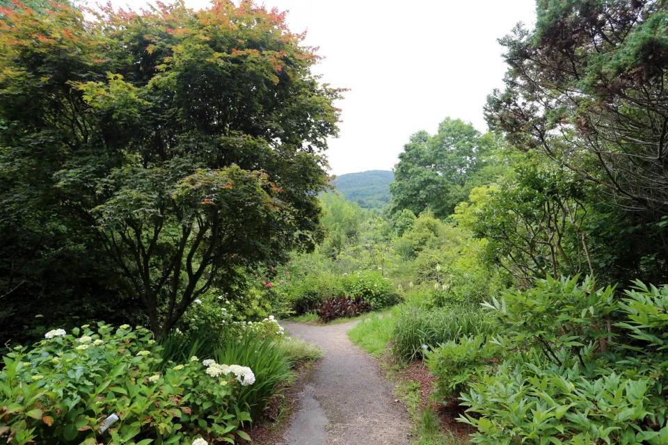 Pagoeta Natural Park