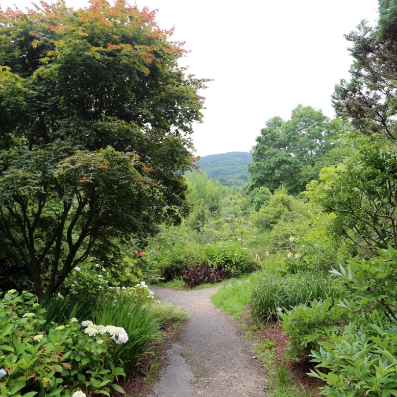 Pagoeta Natural Park