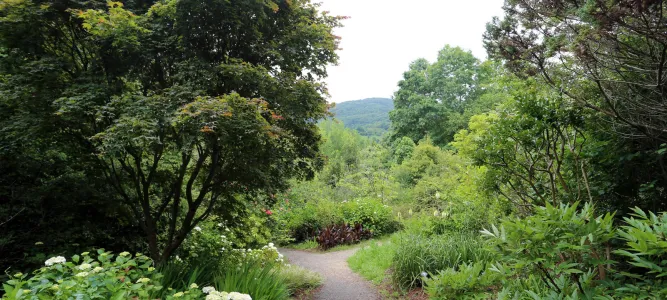Le Parc Naturel de Pagoeta