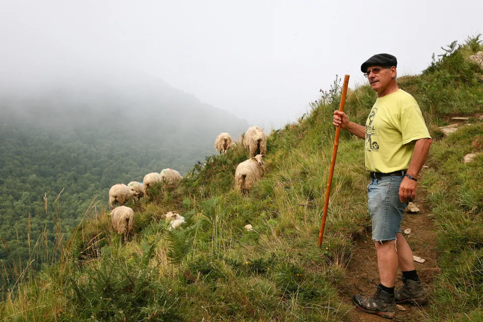 Agneau de Lait des Pyrénées