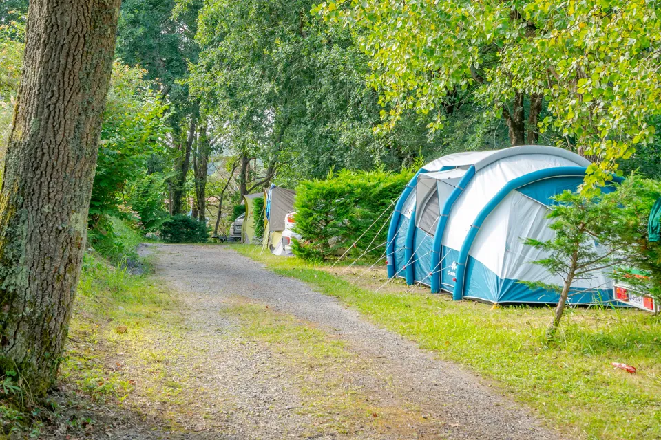 Campsite Suhiberry