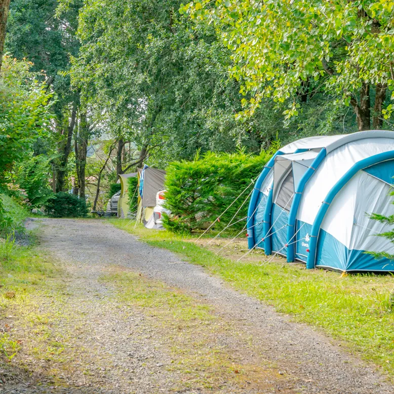 Campsite Suhiberry