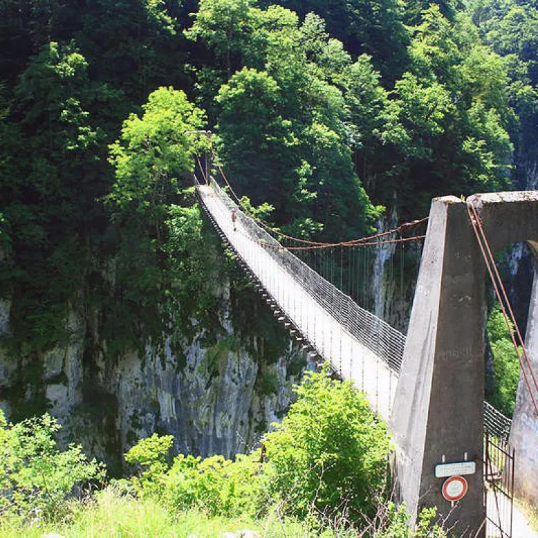Gorges d'Olhadubi et la passerelle d’Holzarte