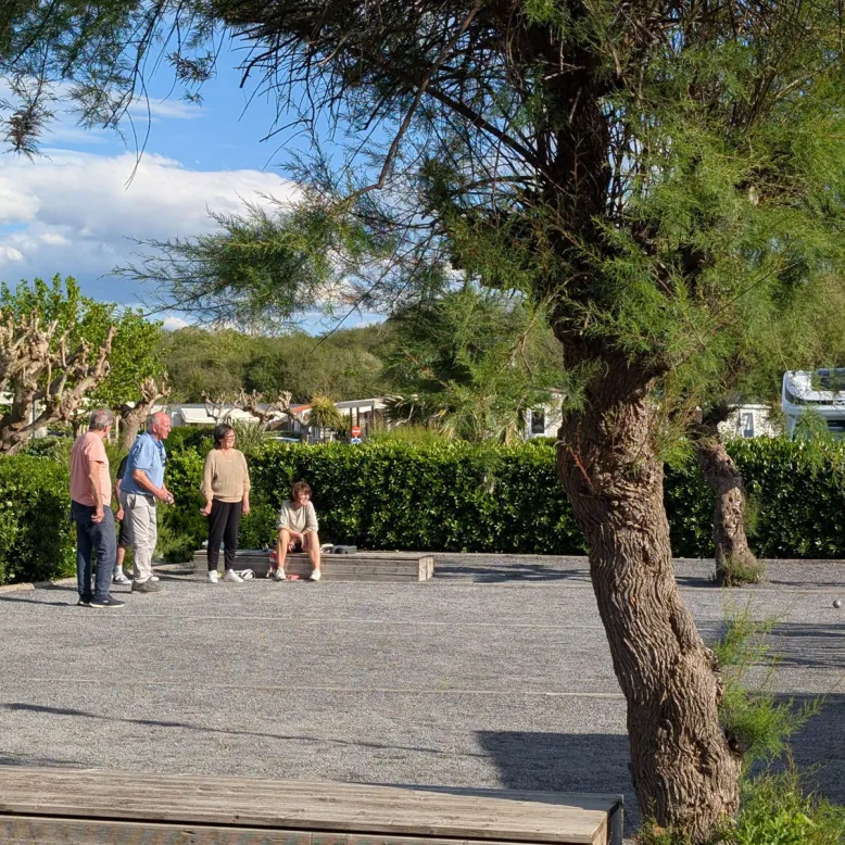Campsite L'International Erromardie