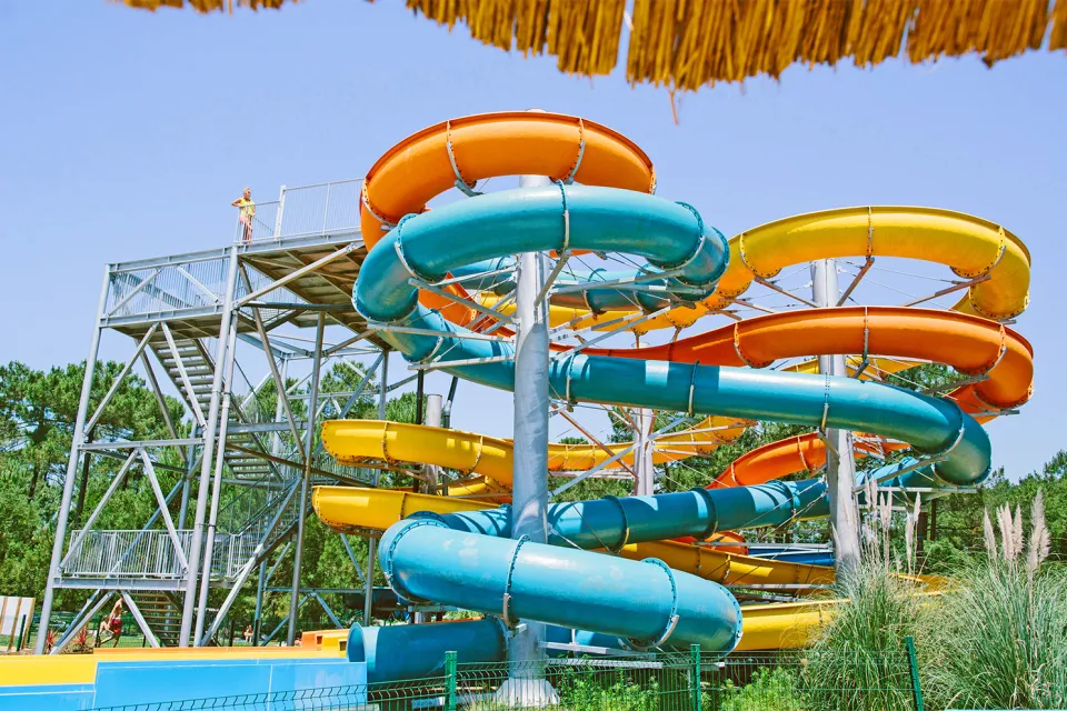 Aquatic Landes