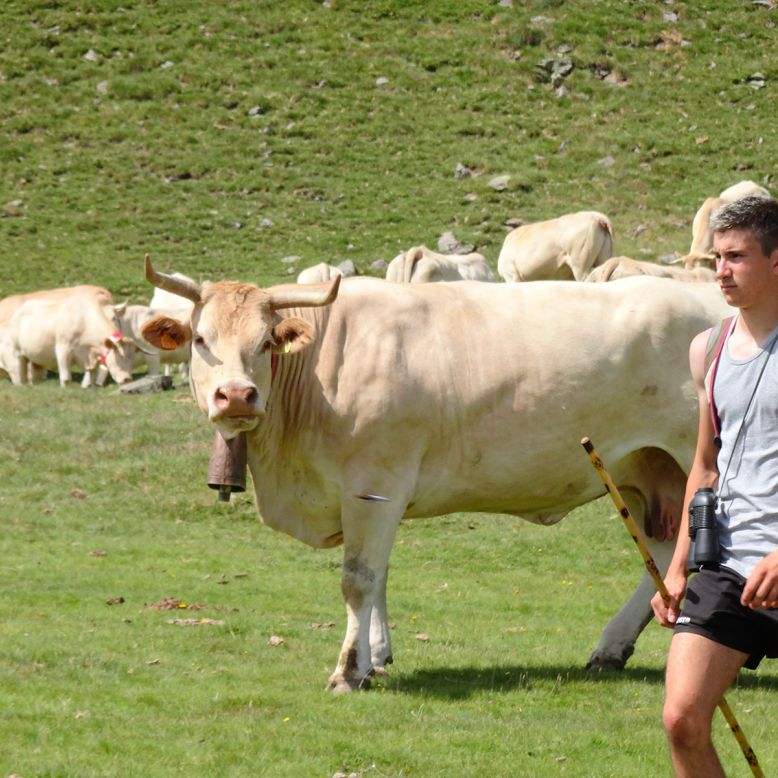 Ferme Basque Les Fermes Auberges au Pays Basque