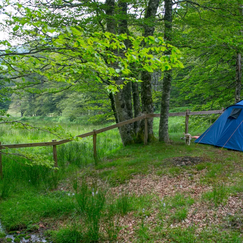 The Iraty Chalets