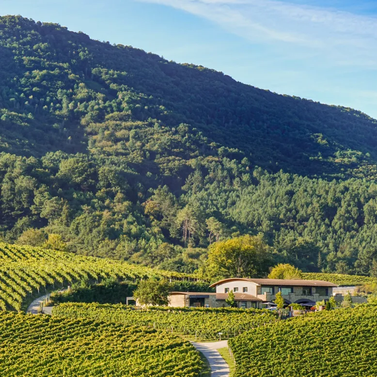 Hiruzta Bodega