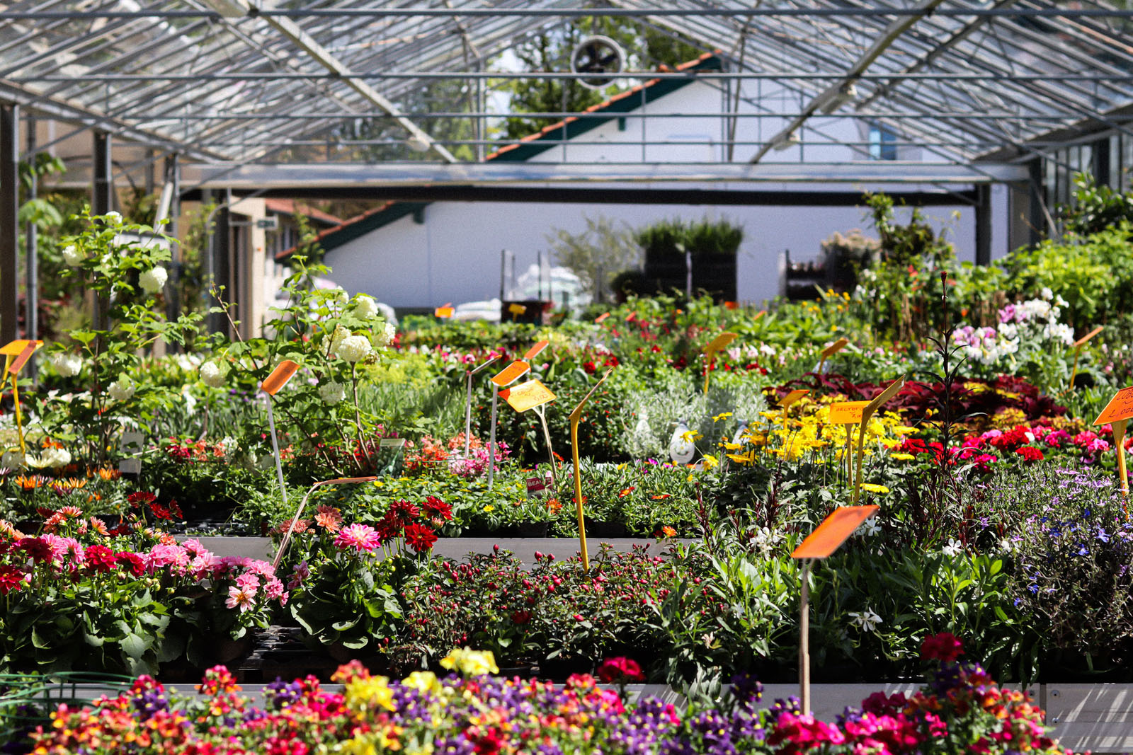 Mendi, le jardin de tous