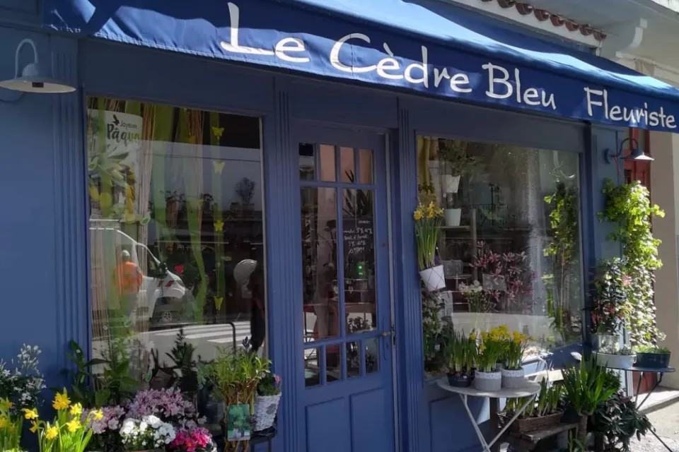 SARL Le Cèdre Bleu