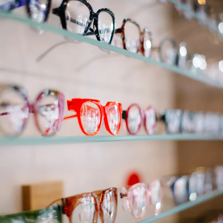 Optique Lapurdi