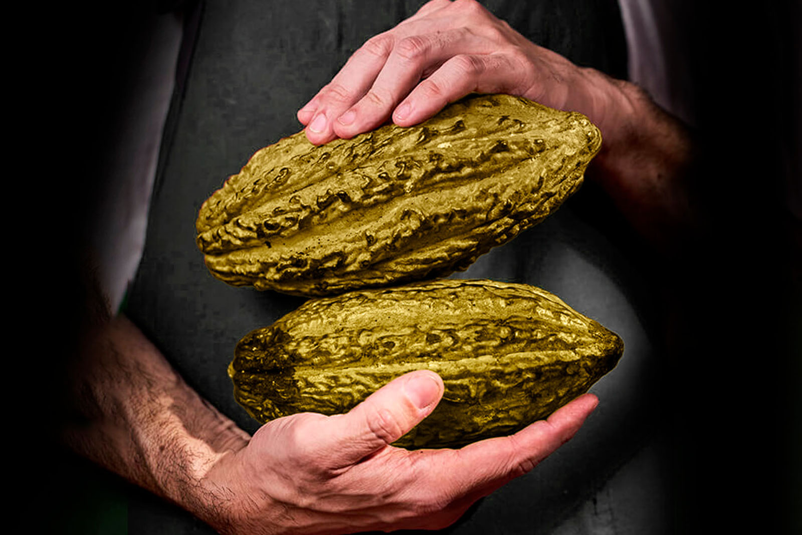 CASA CACAO MONTEVERDE