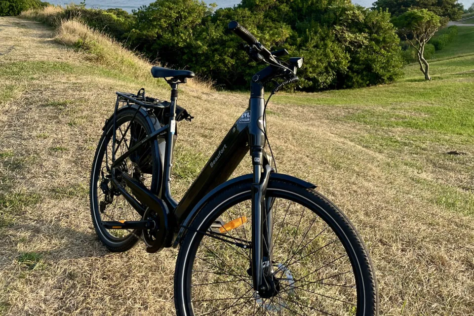 LVL CYCLES ASCAIN