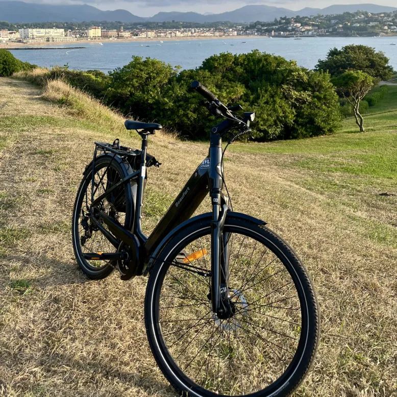 LVL CYCLES ASCAIN