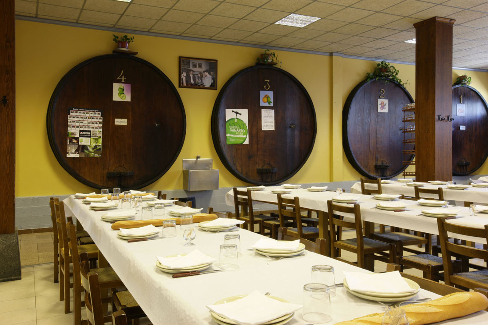 AGINAGA SAGARDOTEGIA