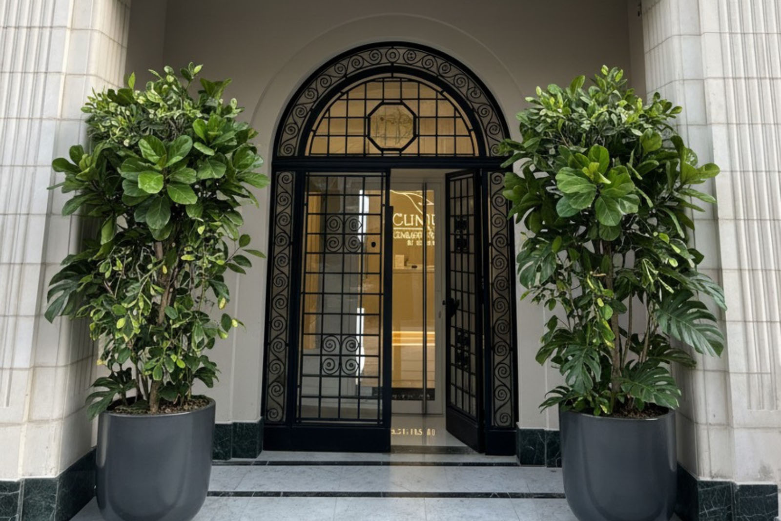 Clinique des Champs Elysées Biarritz