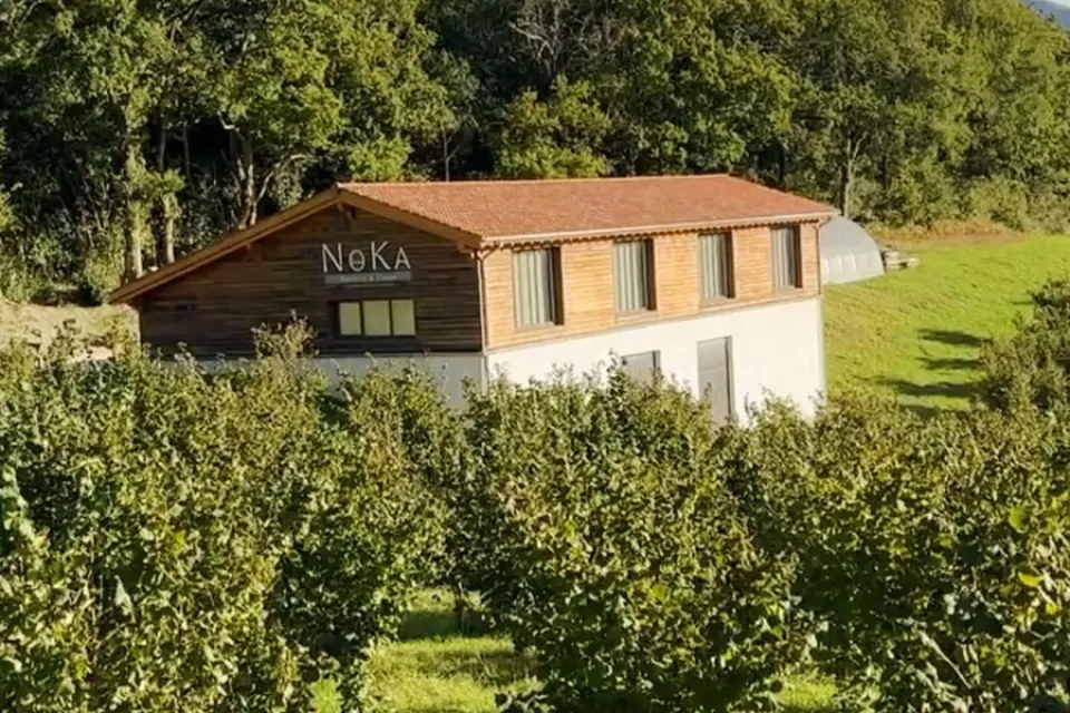 NOKA