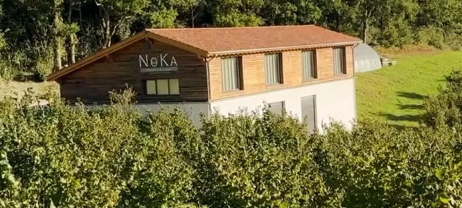 NOKA