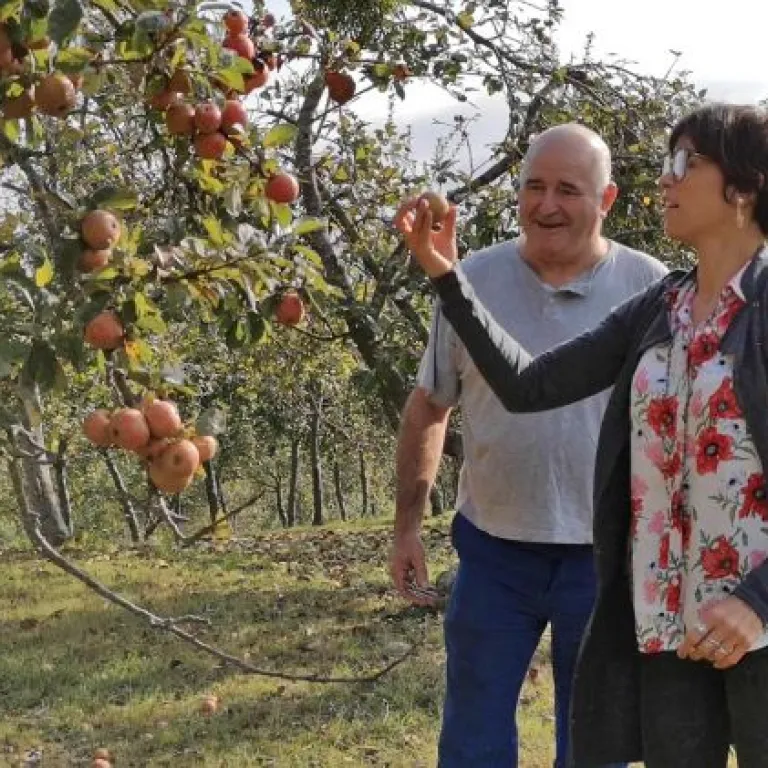 Eztigar: Taste the traditional Basque cider, S ...