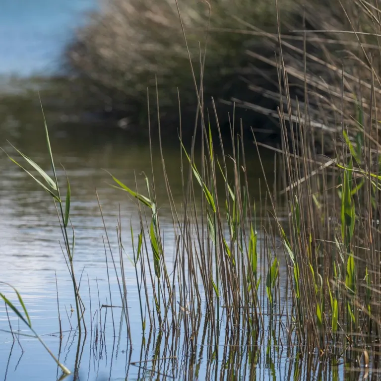 Wild immersion at the Izadia Ecological Park i ...