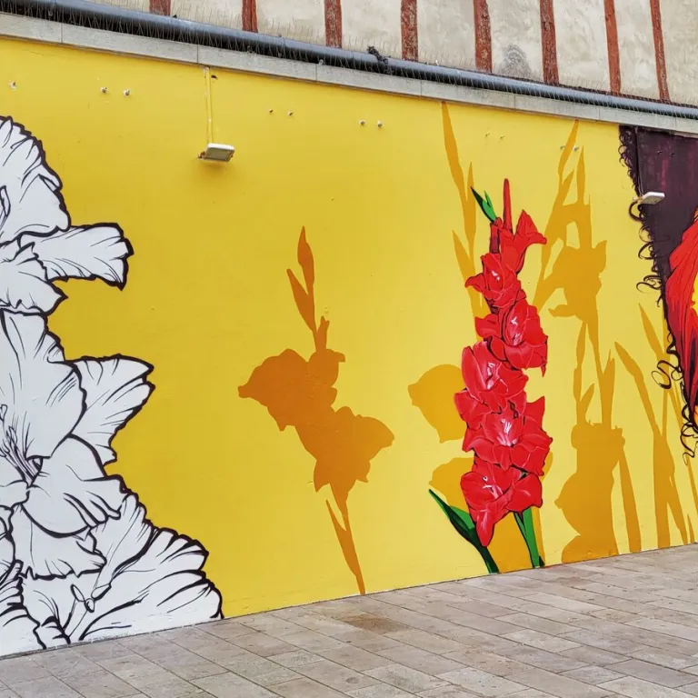 Street-Art in Bayonne : discreet works with murals
