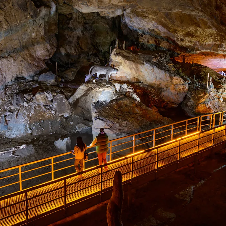 Caves to visit in the Basque Country