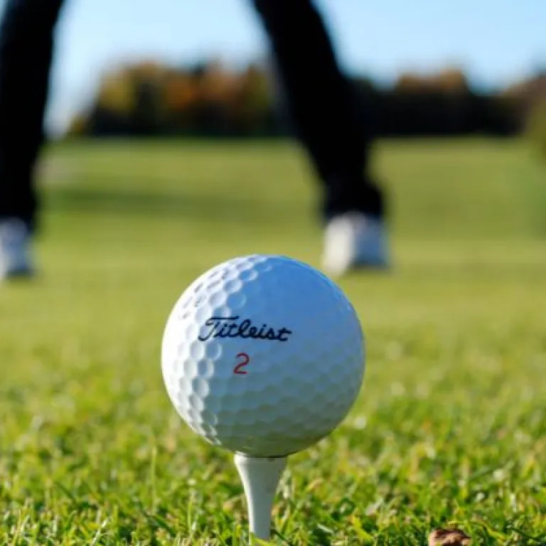 Golf in the Basque Country, THE essential spor ...