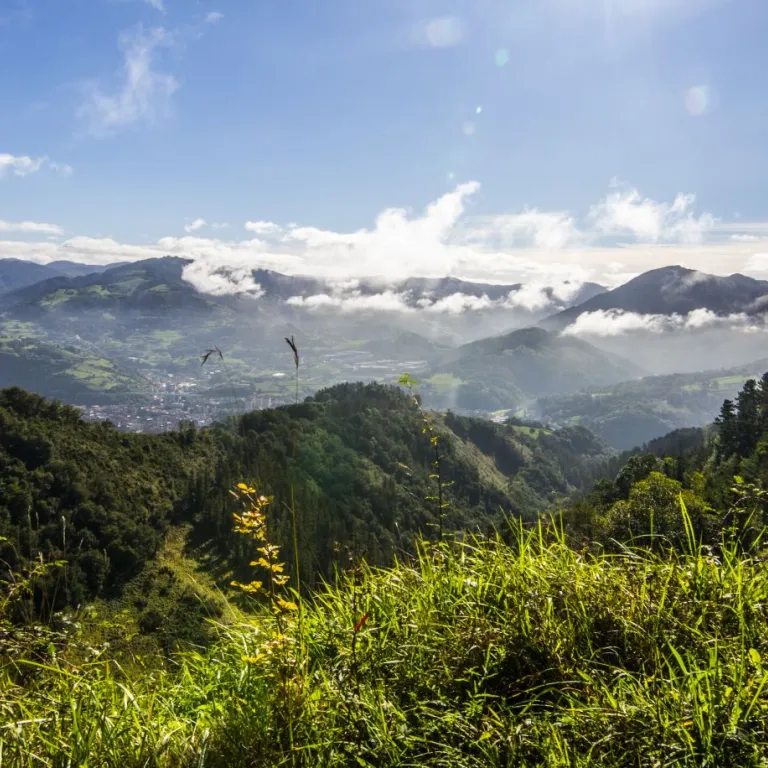 Tolosaldea, a magnificent region to discover i ...