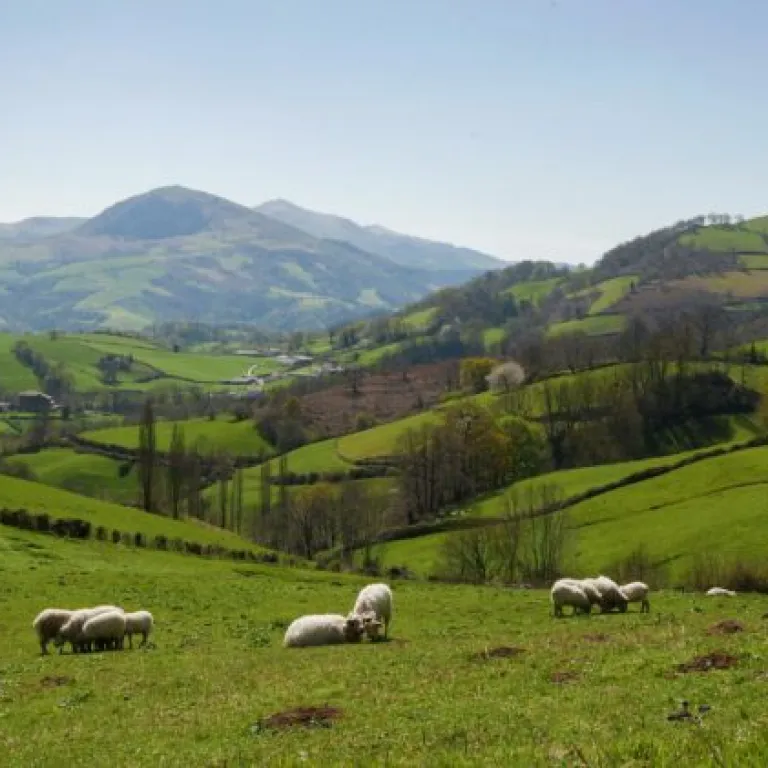 Randonnée au pied des crêtes d'Iparla