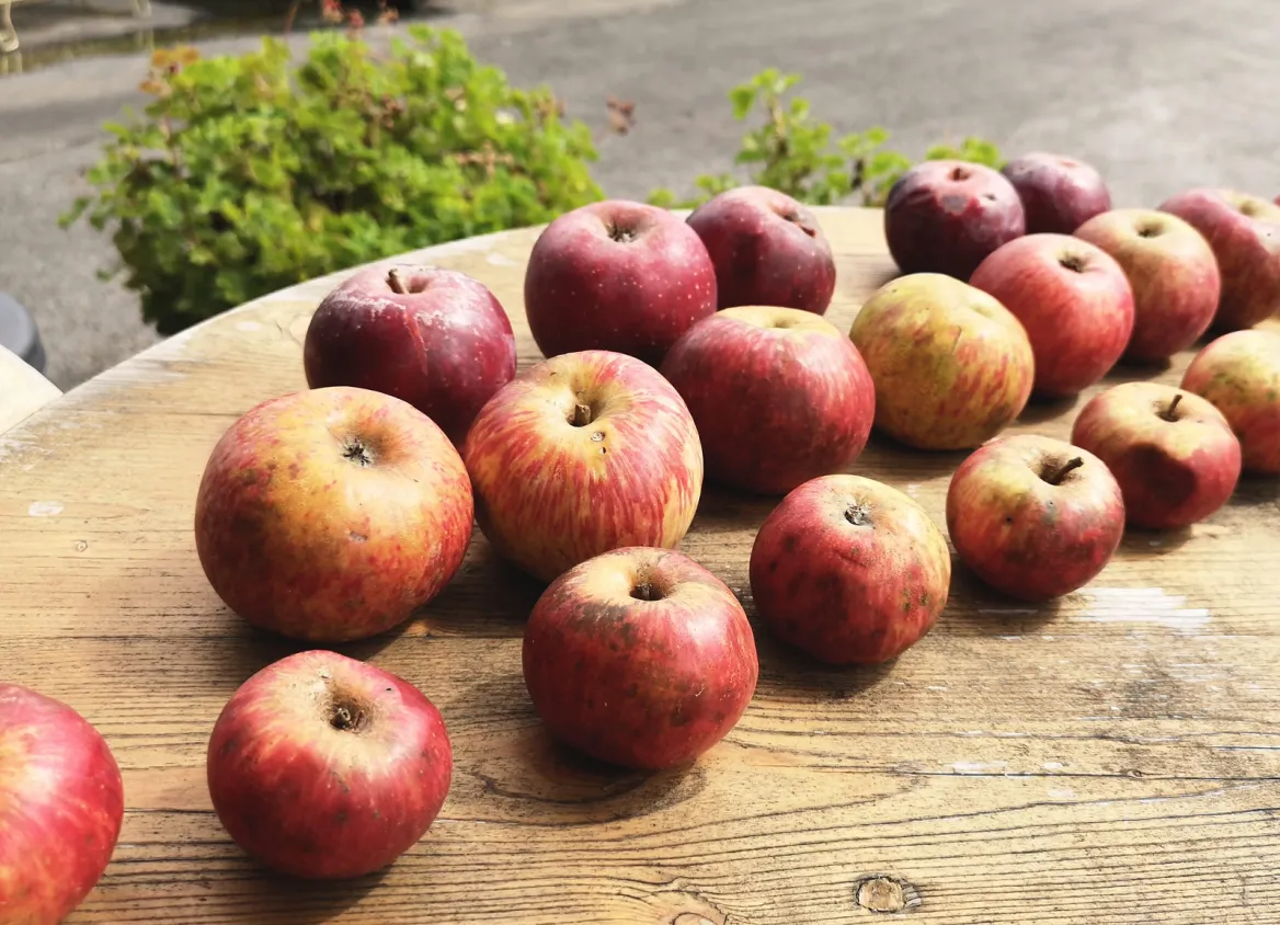 Eztigar Cider