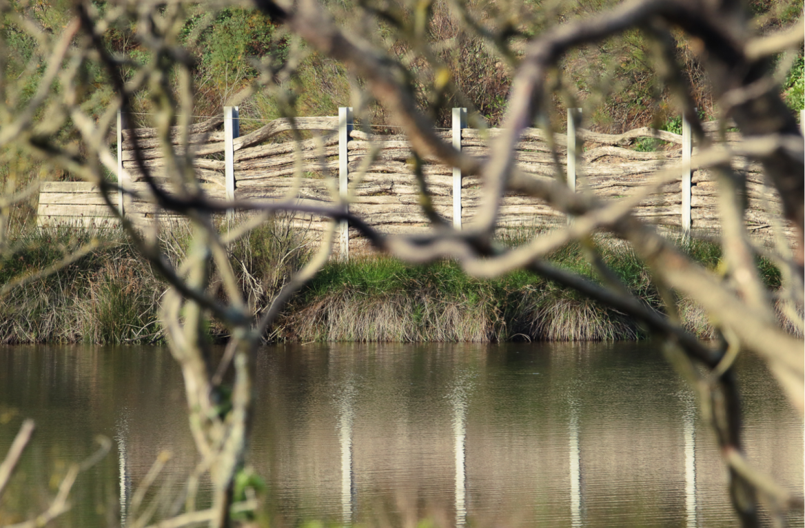 Palisades © LéoMicouin