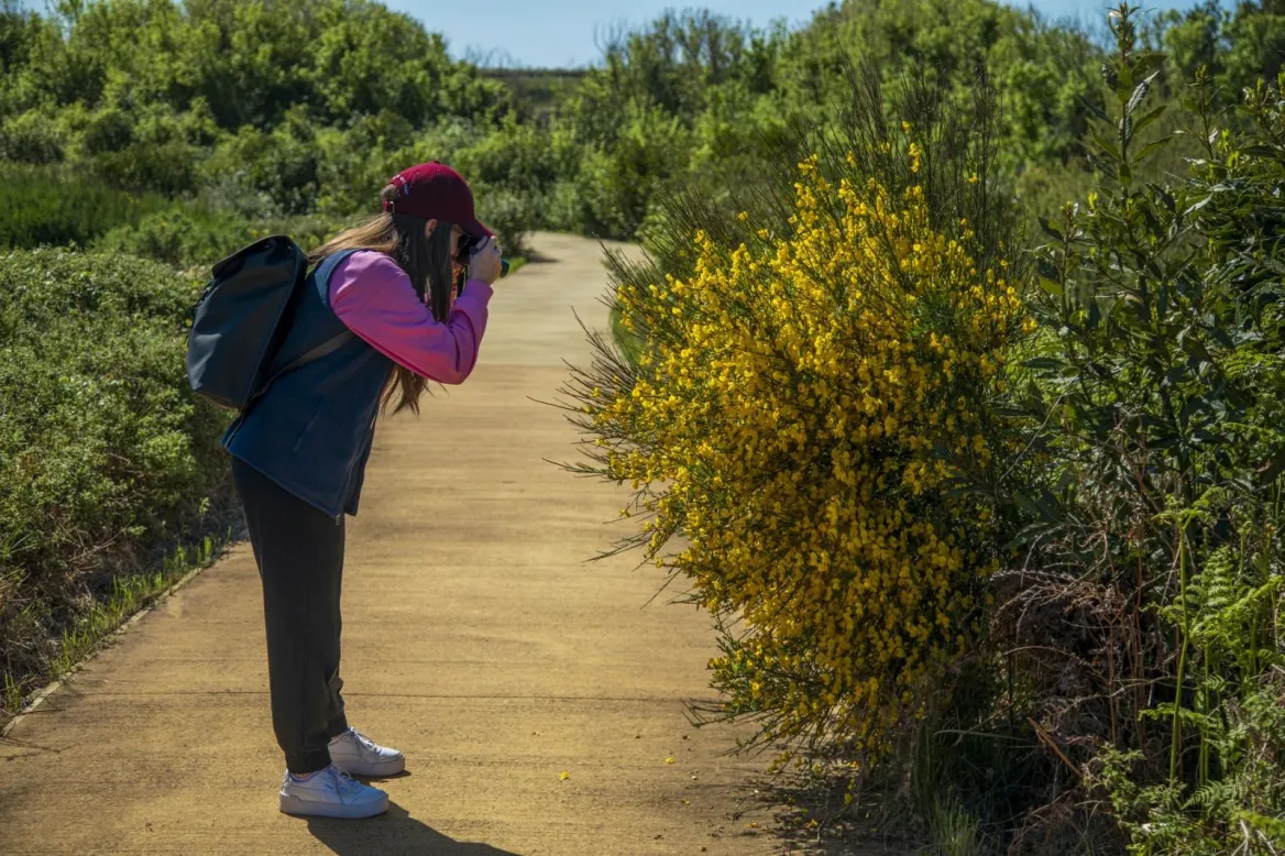 This site is recognized as an Espace Natural Sensible (n°70 Dunes d'Anglet), managed by the commune of Anglet. Included in the "Natura 2000 L'Adour" zone, it aims to reconnect visitors with nature through a network of footpaths.